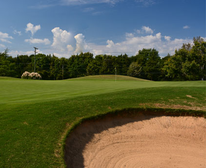 Golf course gallery